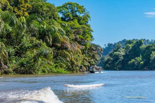 Fluss bei Tortuguero in Costa Rica