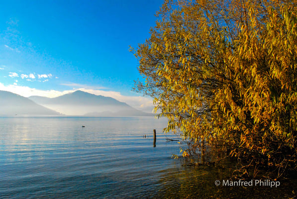 Sicht über den Zugersee auf die Rigi