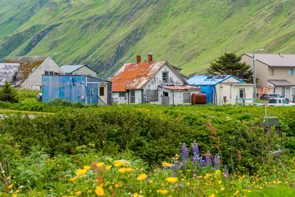 Häuser in Unalaska