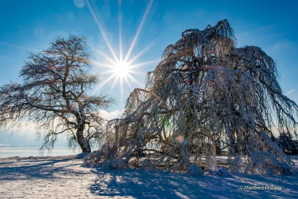 Winterwunderland in Cham am Zugersee