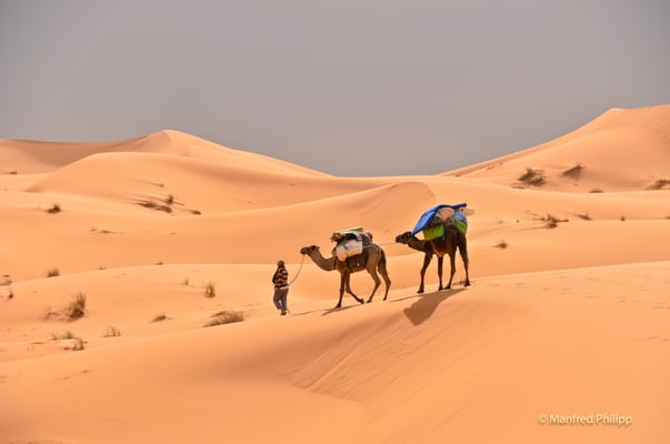 Karawane in der Sahara, Marokko