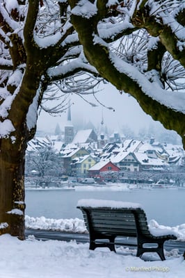 Wintertag am Zugersee