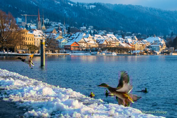 An der Seepromenade der Stadt Zug im Winter