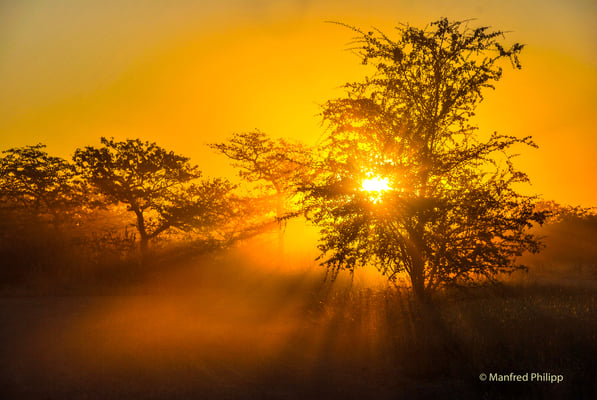 Sonnenlicht bricht sich im aufgewirbelten Staub, Namibia