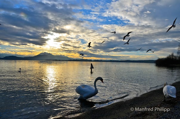 Winterstimmung am Brüggli