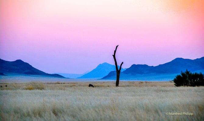 Steppe in Namibia