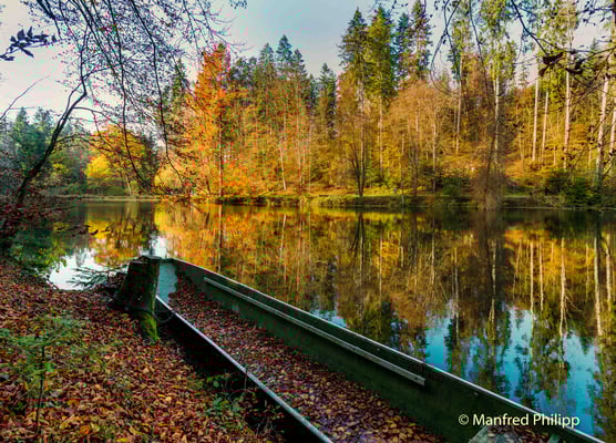 Waldweiher bei Steinhausen