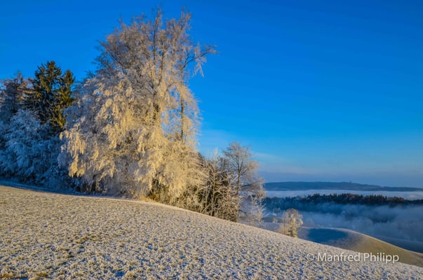 Winterlandschaft auf dem Hirzel
