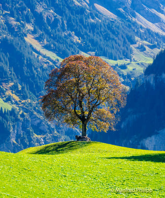 Herbst im Kanton Uri