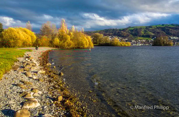 Herbstlicher Zugersee