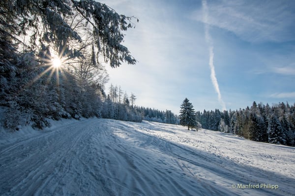 Auf dem Zugerberg beim Nollen