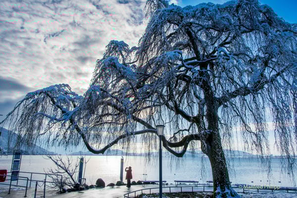 Kalter Wintertag am Zugersee