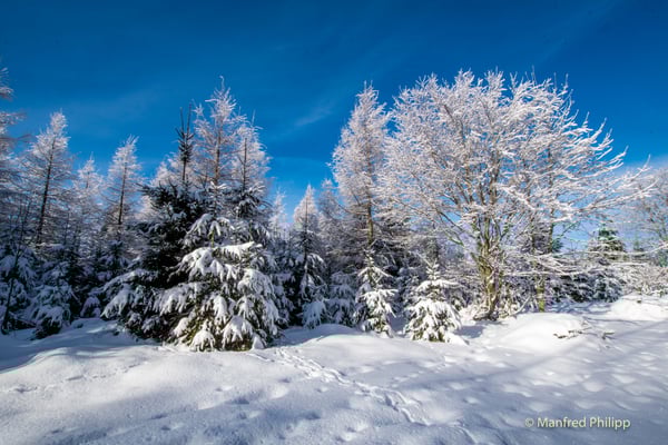Winter auf dem Nollen bei Unterägeri