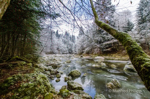 An der Sihl im Winter