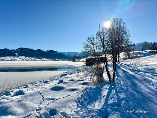 Am gefrorenen Sihlsee