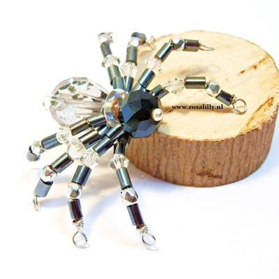 Handgemaakte spin, leuk voor Halloween