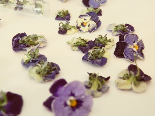 blog over viooltjes fantasy sieraden, folklore en napoleon bonaparte