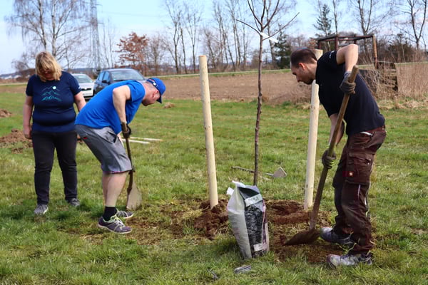 Baumpflanztag auf der Buxheimer Fläche. Foto: Ines Wendekamm