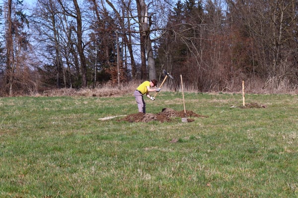 Baumpflanztag auf der Buxheimer Fläche. Foto: Ines Wendekamm