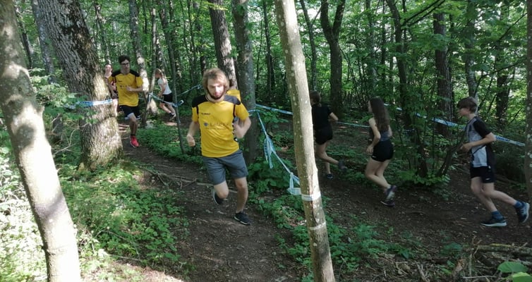 Trail Running durch unsere heimischen Wälder 