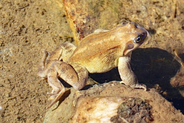 Mit den "Drüradbrüedere" am Trübtensee unterwegs.
