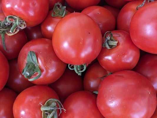 Tomates bio et locales