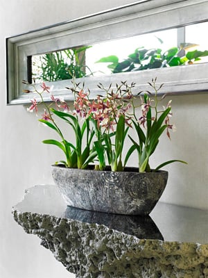 Canoe Schwarz Planters for Life