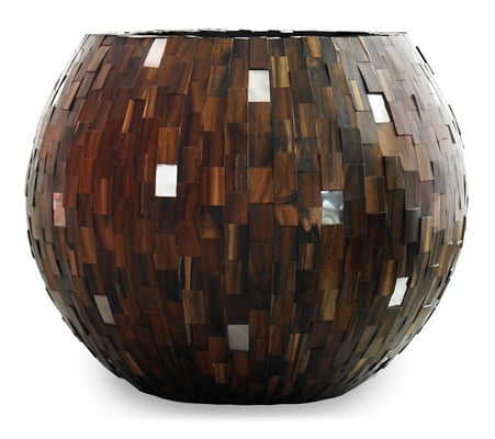 Forest Bowl Plants first Choice