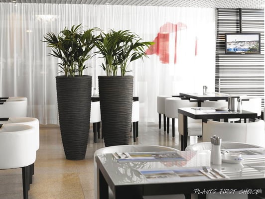 Polystone Planter Partner Braun Plants first choice