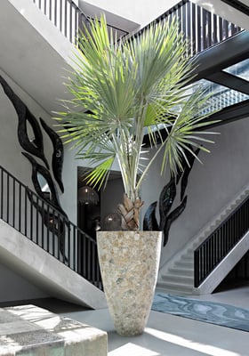 Buovy Mother of Pearl Planters for Life