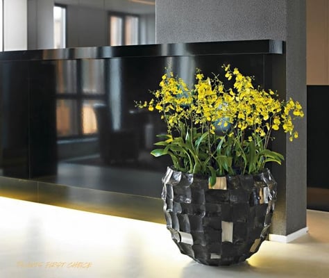 Boxer black Planter Plants first choice