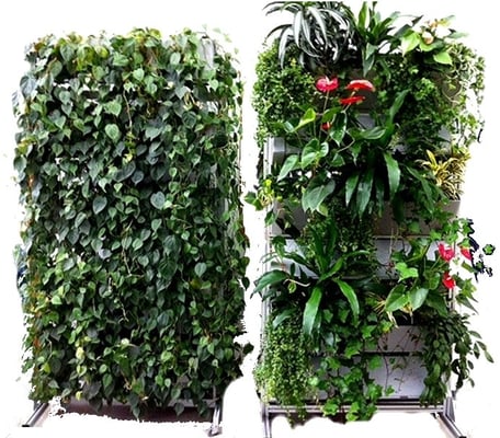 Grüne Schallwände Planted Wall