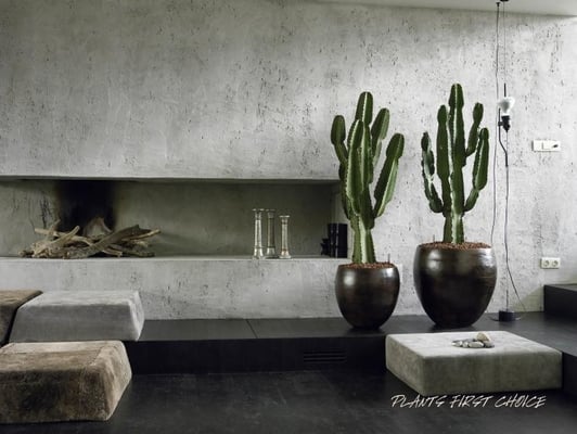 Wood Design Plants first Choice