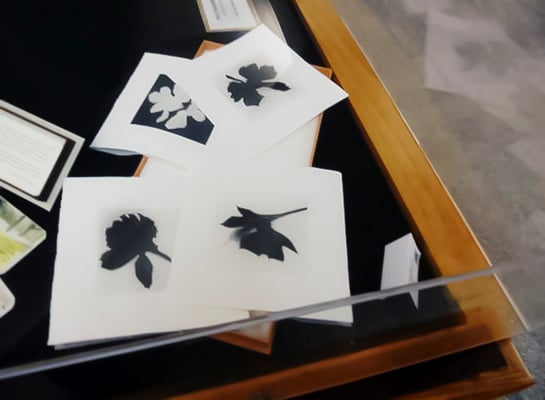 Künstlerbuch Golden Hour. The Art of the Book. Central Library of Rochester & Monroe County Lower Link Gallery in Rochester, New York, USA, 2014 | Foto: Jessica Lamanna