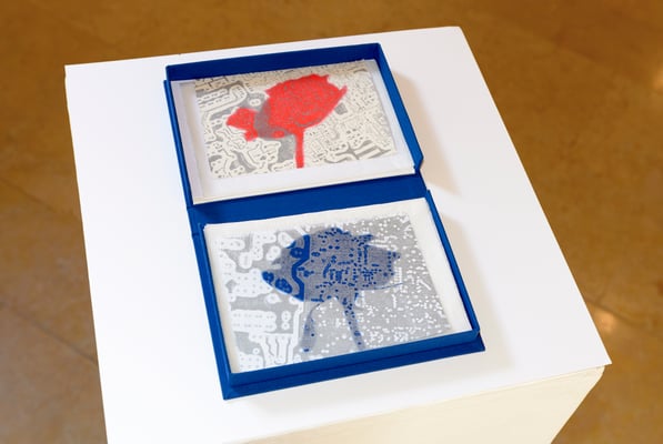 Schattenwurf Rose. Trotte Arlesheim, Schweiz, 2016