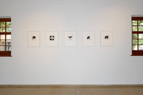 Aus Künstlerbuch Golden Hour. Trotte Arlesheim, Schweiz, 2016