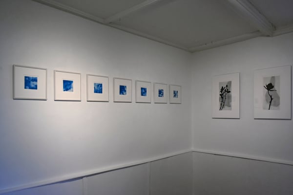 Blaue Mauritius (links), Schattenriss (rechts). Museum Design Collection Basel, Schweiz, 2020