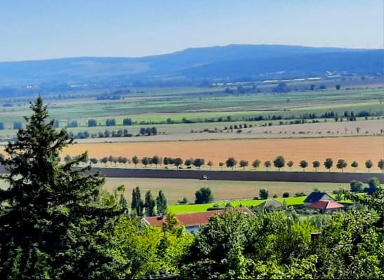 Blick in die Goldene Aue