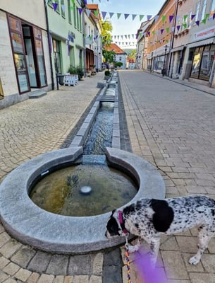 Wasserlauf in der Kräme