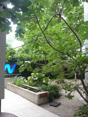 Hofentkernung mit neuer Gartengestaltung - Foto © Knauer Architekten