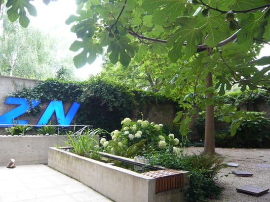 Hofentkernung mit neuer Gartengestaltung