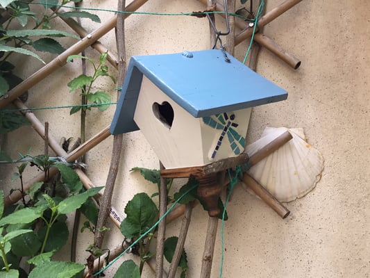 Gene du 82, cabane à cuicui