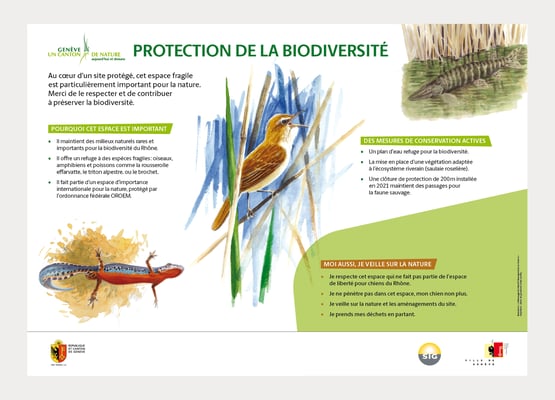 PANNEAUX A2 SOUS CAYLA | EN COLLABORATION AVEC LATITUDE DURABLE | CONCEPTION ET RÉALISATION