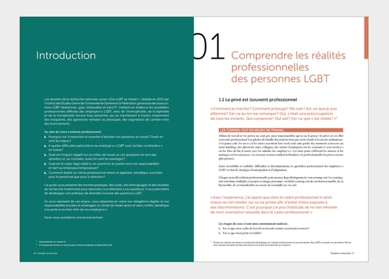 LA DIVERSITÉ AU TRAVAIL | GUIDE DES BONNES PRATIQUES |  CONCEPTION ET RÉALISATION