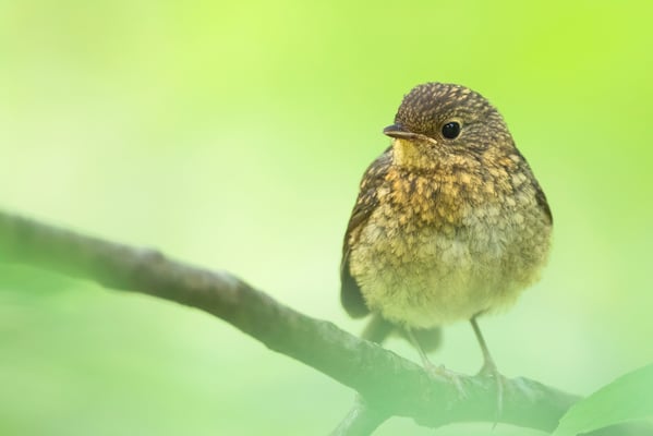 Foto: Markus Glässel