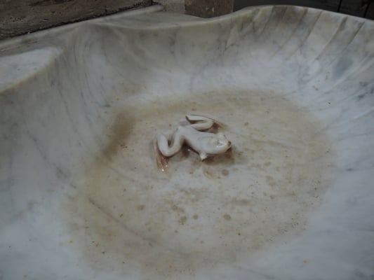 Il manque une patte à la grenouille!