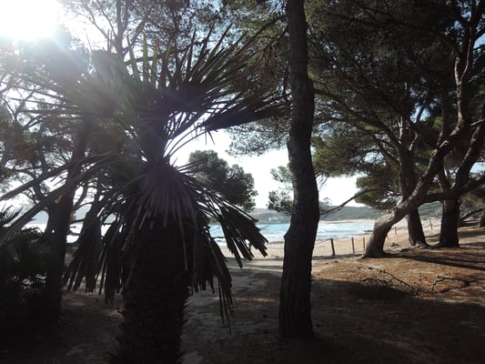 cala Agulla (Nord-Est de l'île)