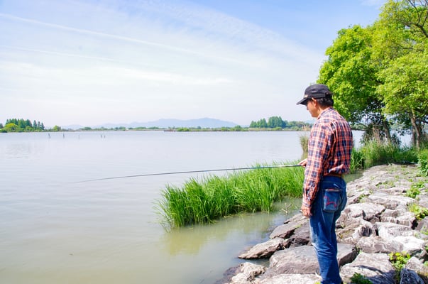 南湖東岸の釣り風景