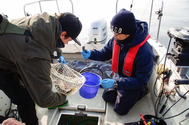東京大学の山本さん（右）と、近畿大学農学部水産学科の鵜川さん。将来が楽しみな若者二人