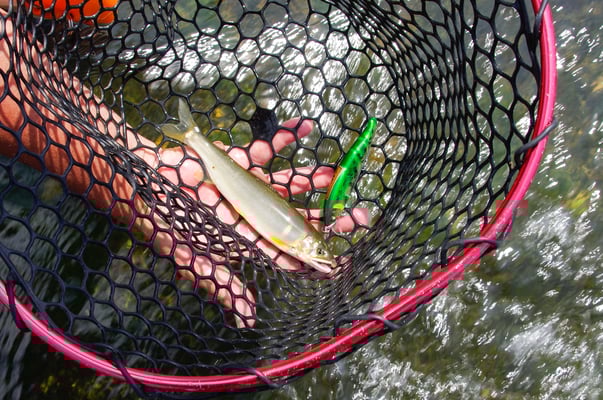 同じく「京桂川久我橋SP」